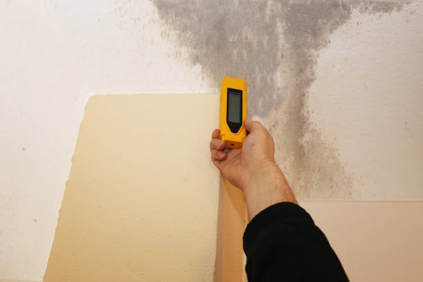 Best Air Quality Testing for Mold Spores  in Coldstream, KY