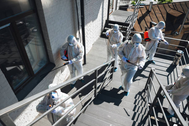 Best Mold Remediation for Healthcare Facilities  in Coldstream, KY