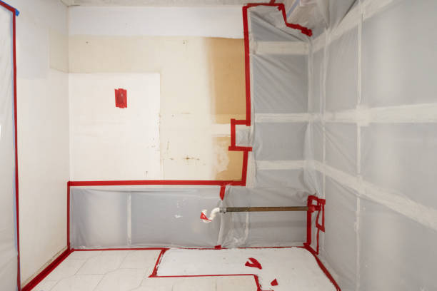  Coldstream, KY Mold Removal Pros