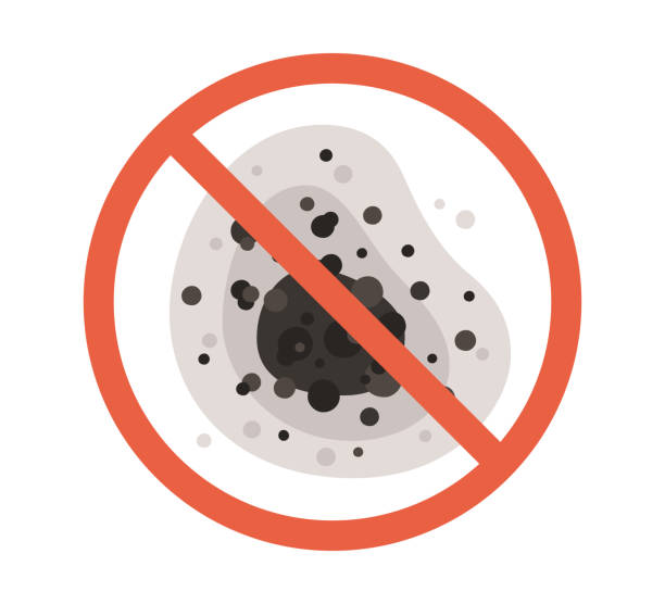 Best Indoor Air Quality Assessment  in Coldstream, KY