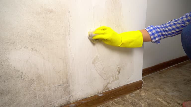 Best Basement Mold Removal  in Coldstream, KY