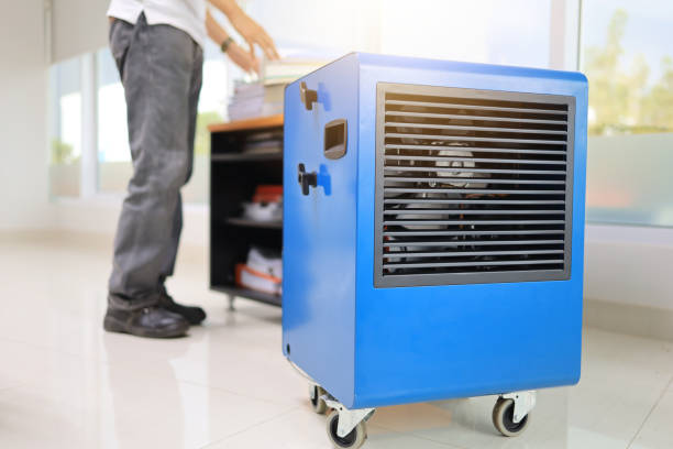 Best Emergency Mold Remediation  in Coldstream, KY