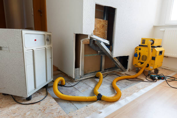 Best HVAC Mold Inspection and Cleaning  in Coldstream, KY