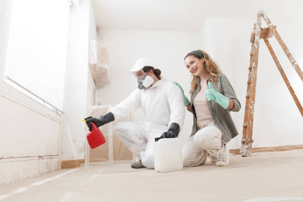 Coldstream, KY Mold Removal Company