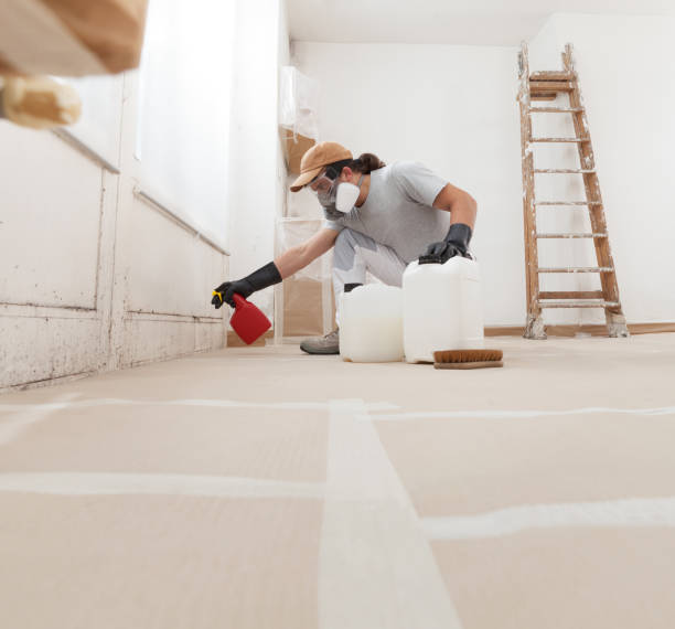 Best Residential Mold Inspection & Testing  in Coldstream, KY